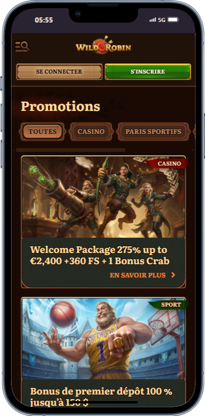 Bonus et Promotions Wild Robin Casino France